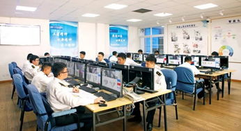 信息技術咨詢服務助力青島外理科技創新，理貨服務再升級