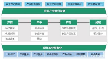 數(shù)字浪潮下的縣域經(jīng)濟(jì)新圖景 電子商務(wù)驅(qū)動(dòng)創(chuàng)新與升級(jí)